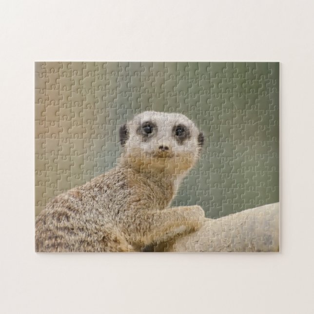 Quebra-cabeça Mercats Africa (Horizontal)