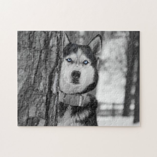 Quebra-cabeça Meus olhos de azuis bebés (Horizontal)