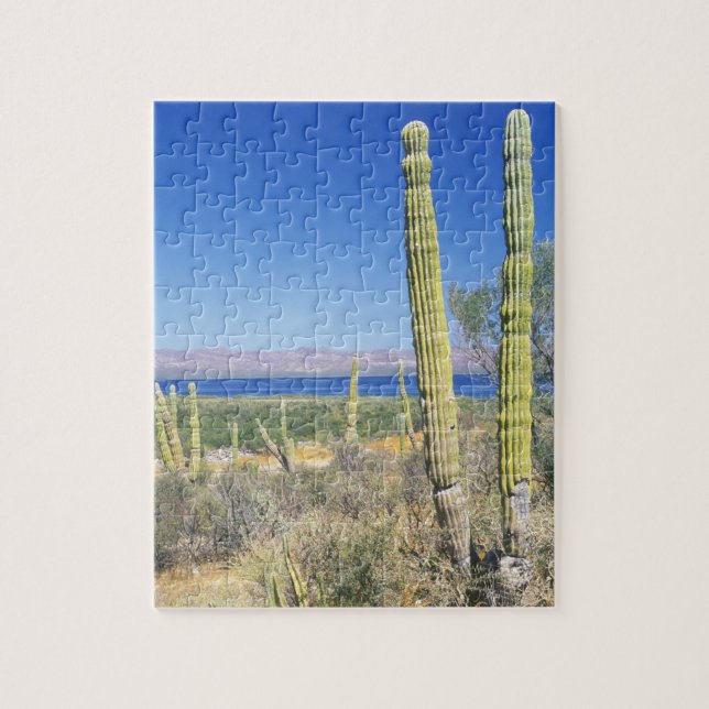 Quebra-cabeça México, Baja Califórnia Sul, Mulege, Bahia (Vertical)