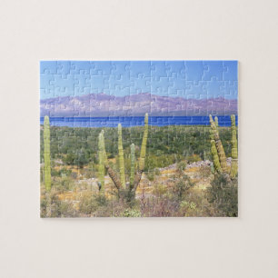 Quebra-cabeça México, Baja California Sur, Cardon Cactus em