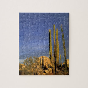 Quebra-cabeça México, Baja del Norte, Deserto Nacional de Catavi