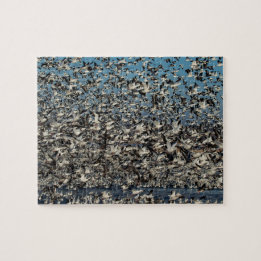 Quebra-cabeça Milhares de gansos de neve