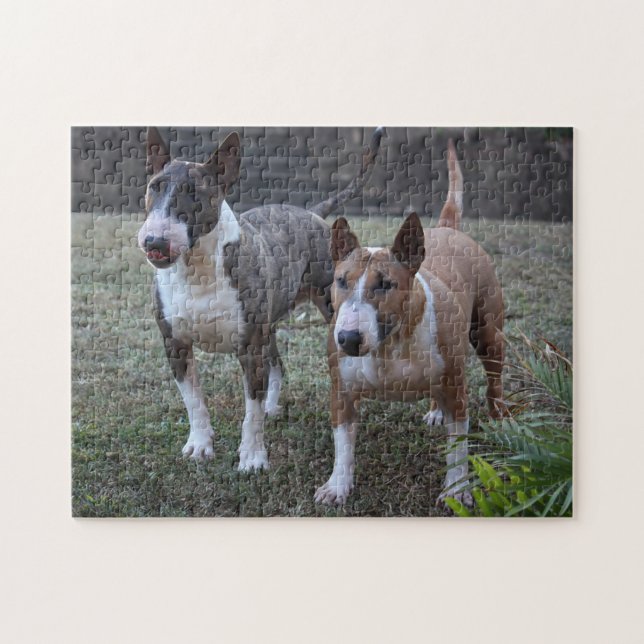 Quebra-cabeça Minature Bull Terriers (Horizontal)