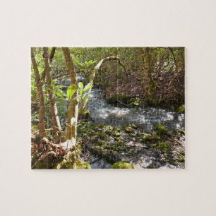 Quebra-cabeça Mingus Creek nas Smoky Mountains
