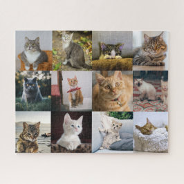 Quebra-cabeça Minha Colagem de Fotos do Gato ativada