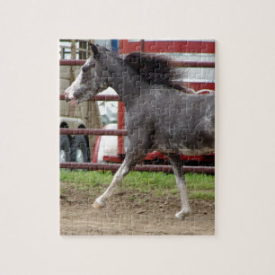 Quebra-cabeça Mini Cavalo na Classe Liberdade