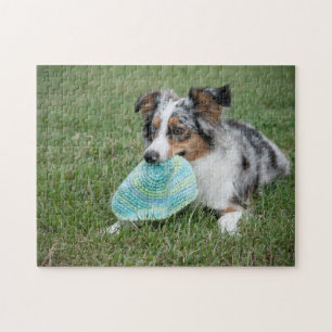 Quebra-cabeça Miniatura de Shepherd Blue Merle Americana com Bri