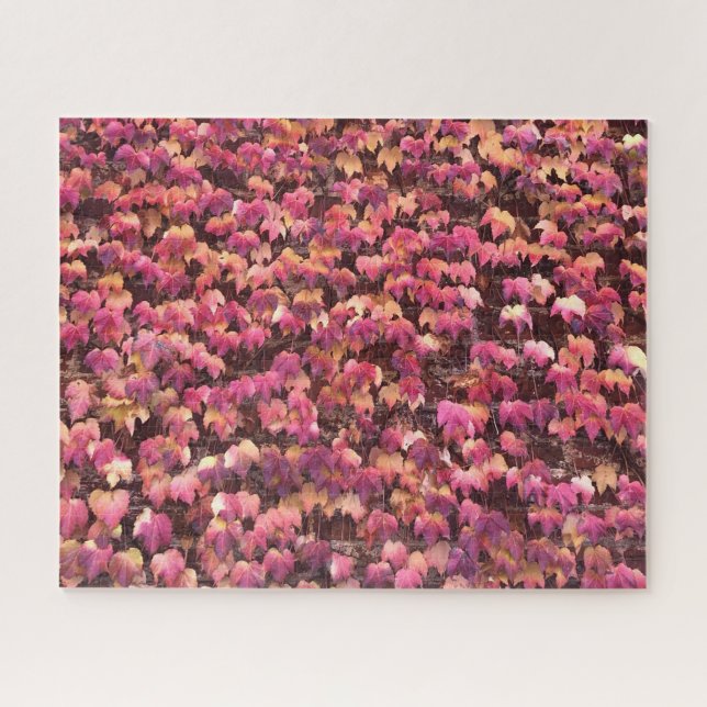 Quebra-cabeça mira autóctone (Horizontal)