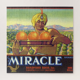 Quebra-cabeça Miracle Genie Ilustrated 20x20