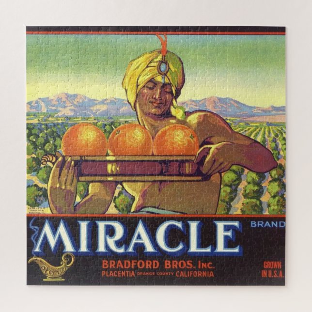 Quebra-cabeça Miracle Genie Ilustrated 20x20 (Vertical)