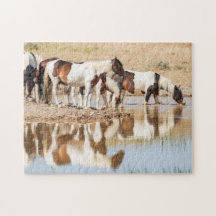 Miragem da Esperança