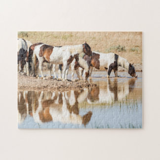 Quebra-cabeça Miragem da Esperança