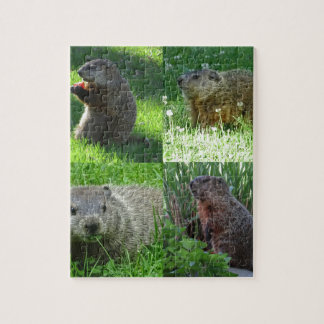Quebra-cabeça Mistura de Groundhog
