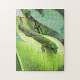 Quebra-cabeça Mistura dentro