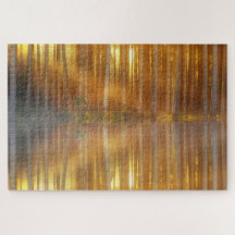 Misty Forest Scene