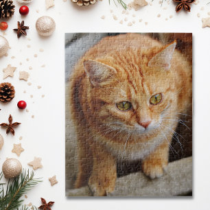 Quebra-cabeça Modelo de Foto de Gato Cachorro Personalizado Dive