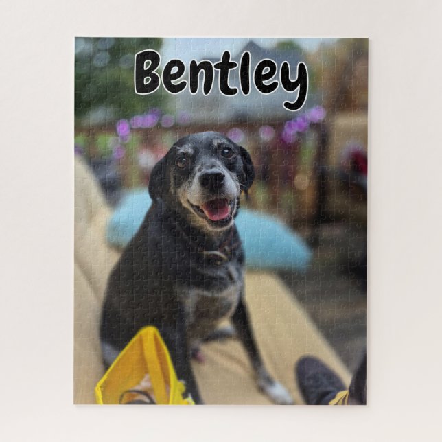 Quebra-cabeça Modelo de Fotos de Animais Personalizadas (Vertical)