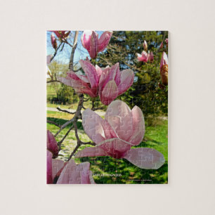 Quebra-cabeça Molho Rosa Inspirado pela Natureza Magnolia Bloom