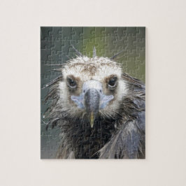 Quebra-cabeça Mönchsgeier