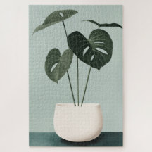 Monstera em um Pote Branco