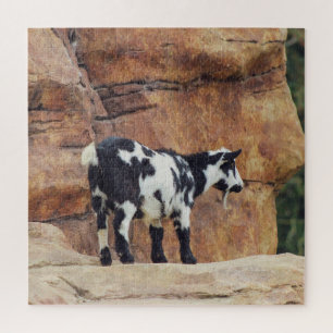 Quebra-cabeça Montanha Negra e Branca Goat on Rocks