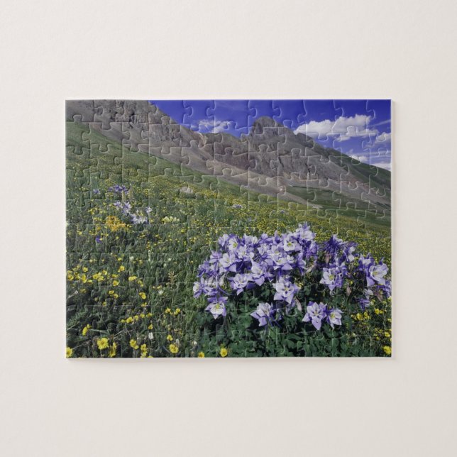 Quebra-cabeça Montanhas e flores silvestres em prado alpino, Azu (Horizontal)