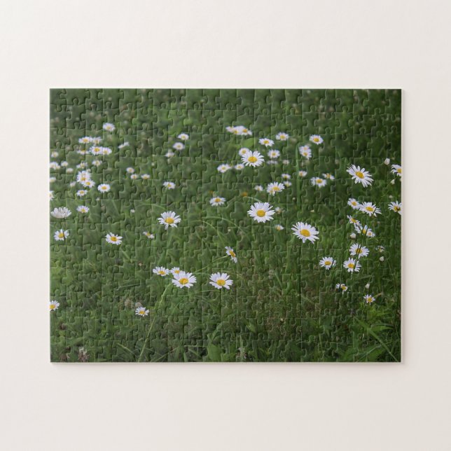 Quebra-cabeça Monte das margaridas (Horizontal)