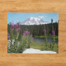 Monte Rainier National Park Wildflower Foto