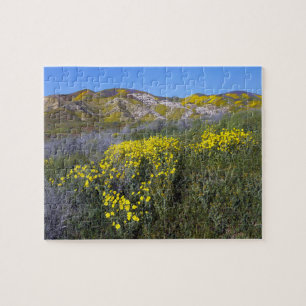 Quebra-cabeça Monumento Nacional do Carrizo Plain