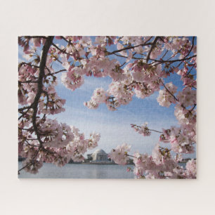 Quebra-cabeça Monumentos   Jefferson Memorial Cherry Blossoms