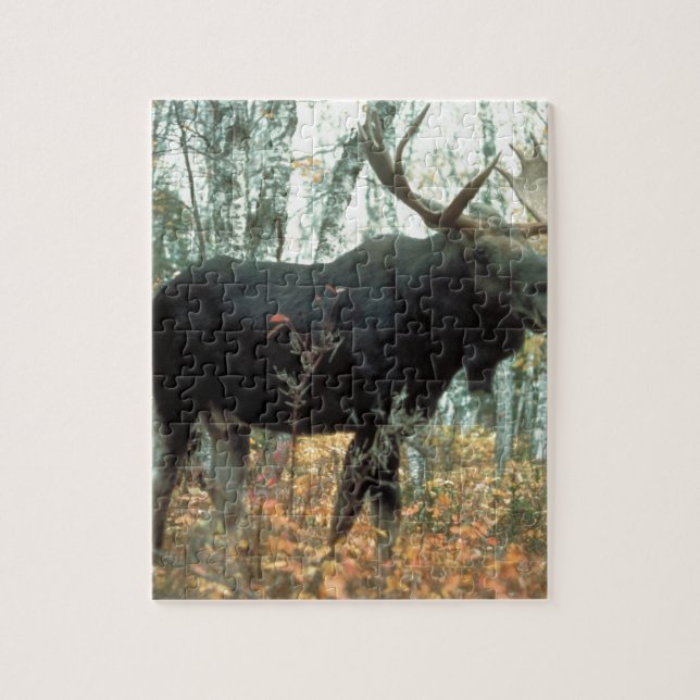 Quebra-cabeça Moose Forest Trees Park Animal Willife Art (Vertical)