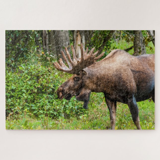 Quebra-cabeça Moose | Península do Kenai, Alasca (Horizontal)