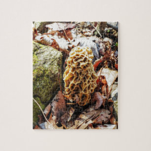 Quebra-cabeça Morel Mushroom na Natureza