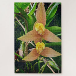 Quebra-cabeça Morning Calm: Blush Petals in Gentle Focus