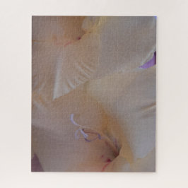 Quebra-cabeça Morning Calm: Blush Petals in Gentle Focus