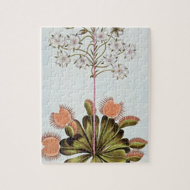 Quebra-cabeça Mosca-armadilha de Venus, placa 84, 'da coleção (Vertical)