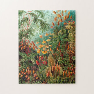 Quebra-cabeça Moss (Muscinae) por Haeckel