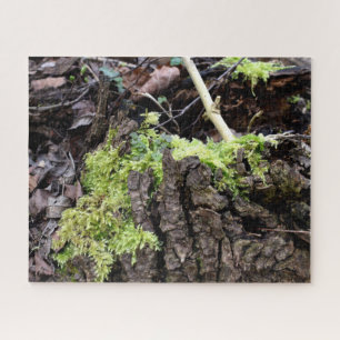 Quebra-cabeça Mosses