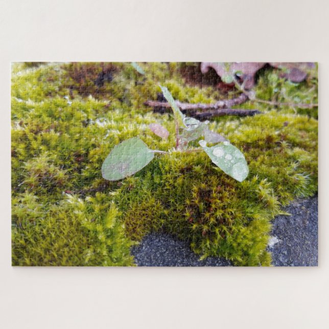 Quebra-cabeça Mosses (Horizontal)