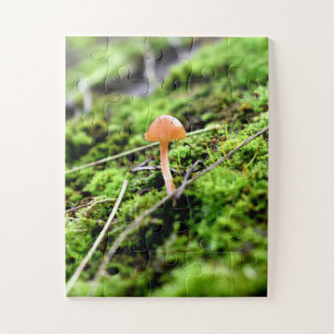 Quebra-cabeça Mosses e Lichens com um pequeno Cogumelo