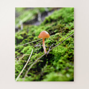 Quebra-cabeça Mosses e Lichens com um pequeno Cogumelo