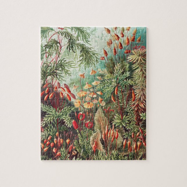 Quebra-cabeça Mosses, Muscinae Laubmoose por Ernst Haeckel (Vertical)