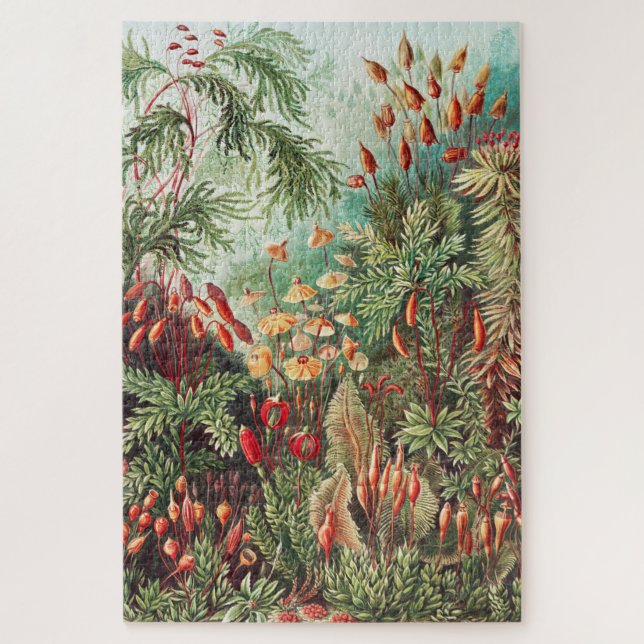 Quebra-cabeça Mosses, Muscinae Laubmoose por Ernst Haeckel (Vertical)