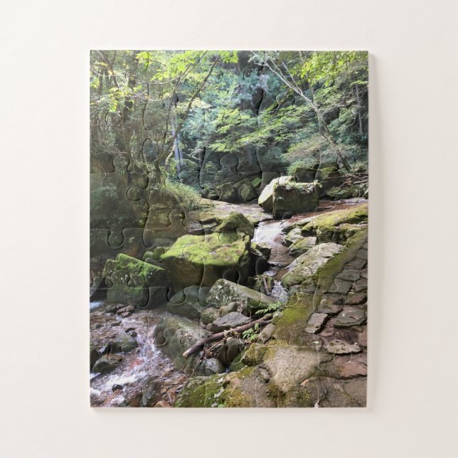 Quebra-cabeça Mossy Mountain Stream in a Japanese Forest Jigsaw  (Vertical)