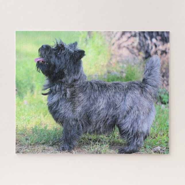 Quebra-cabeça Mostra-te (Horizontal)