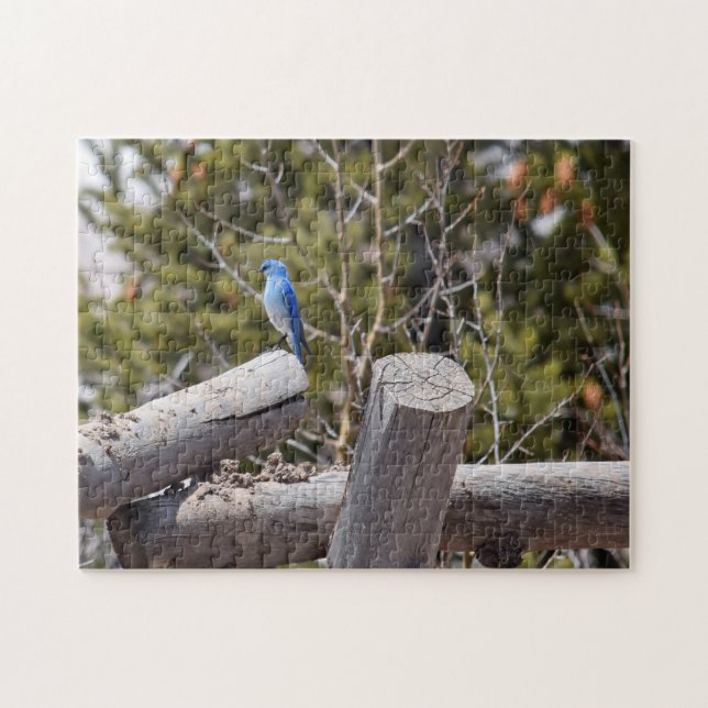 Quebra-cabeça Mountain Bluebird - 11x14 - 252 pcs. (Horizontal)