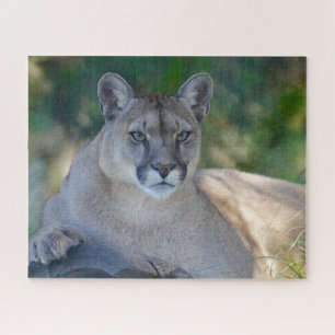 Quebra-cabeça Mountain Lion Jigsaw Puzzle