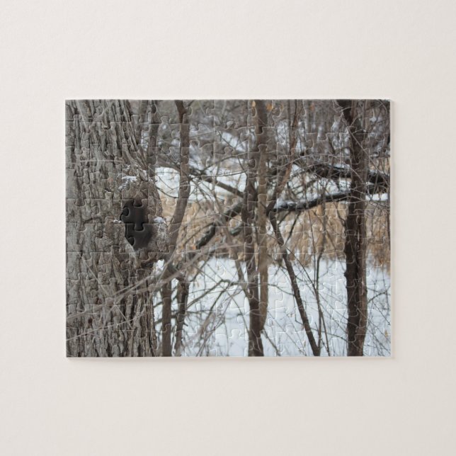 Quebra-cabeça muito difícil da cena do inverno da (Horizontal)