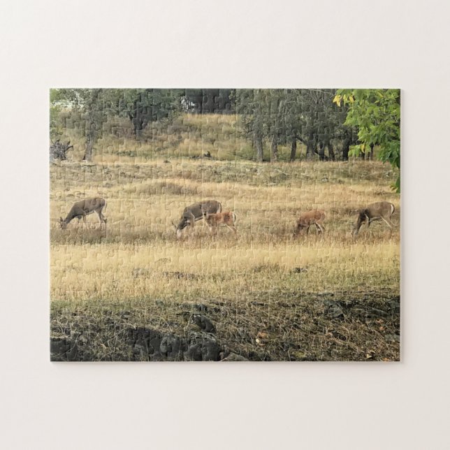 Quebra-cabeça Mule Deer em um Campo (Horizontal)