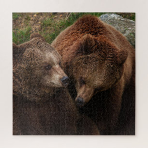 Quebra-cabeça Mulher Do Urso Castanho A Olhar No Homem